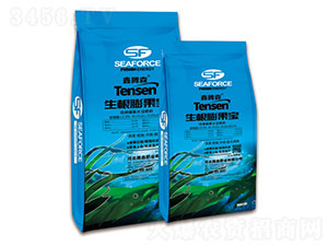 ���������-���vɭ-�vɭ�ʘI(y��)