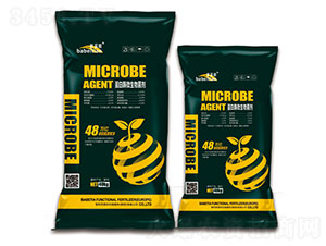 ����ø΢�������-������-�vɭ�ʘI(y��)