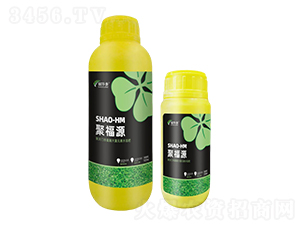 �۸�Դ-���A��