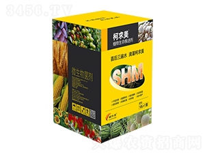 ֲ���������M��-������-���A��