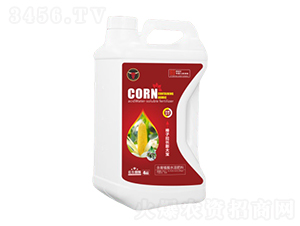 �������L���-��ţ���H