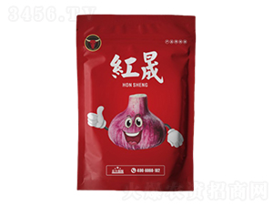 ����һ��ˎ-�t��-��ţ��(gu��)�H