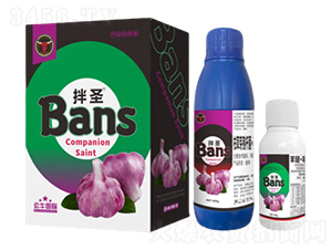 �����N����(j��)��H-��ʥ-��ţ��(gu��)�H