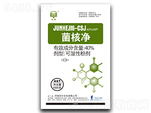 40%���˃��ɝ��Էۄ�-�L��-�����r(n��ng)��