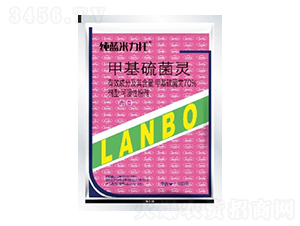 70%�׻�����`WP-���{������-һ�[�Ƽ�