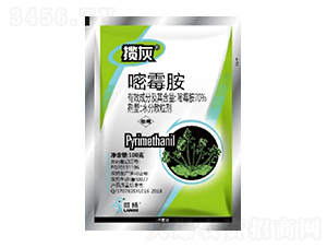 70%��ù��WG-����-һ�[�Ƽ�