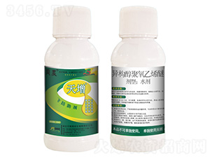 �����w������-ؐ˹���r(n��ng)��