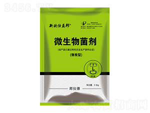 ΢̿��΢�������-�W�����-������