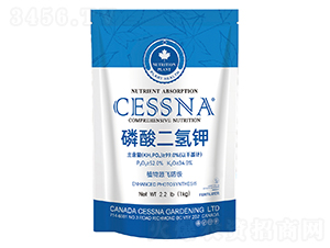 ��������-�ЅR�r(n��ng)�I(y��)