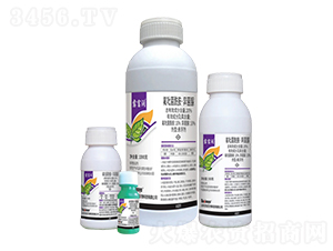 20%���ھ�������������Ҹ���-¶����-��������