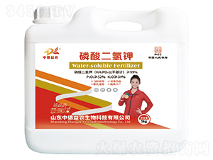 5kg����˚��-�ƹ�ʯ-�е����r(n��ng)