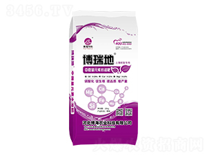 ���}�V�����{(di��o)�턩-�����-��������