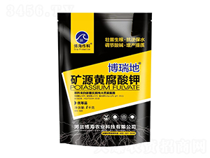 �VԴ�S�����-�����-��������