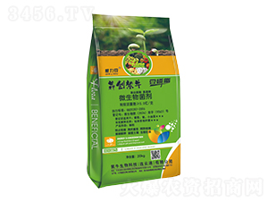 ΢�������-������-�Ą�(chu��ng)��ţ