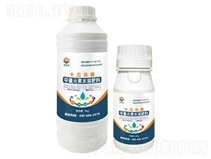 ʮ��Ԫ��-�W�ʩ