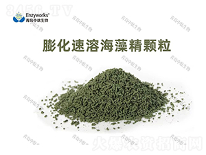 �����ܺ��徫�w��-���u��������