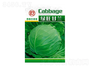 ���{(l��n)�N��-�G�����{(l��n)-���S�r(n��ng)�I(y��)