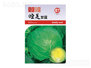 ���{(l��n)�N��-�������{(l��n)-���S�r(n��ng)�I(y��)