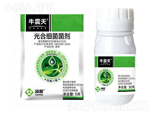 ��ϼ�(x��)������-ţ����-���՘�(l��)