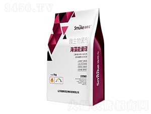 ΢�������-����������-ʩķ��