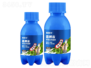 ���������Ⱥ-������-������-��������