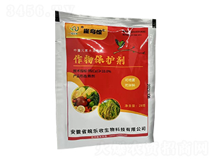 ���ﱣ�o(h��)��-ȸ�B(ni��o)�@-�(l��)������