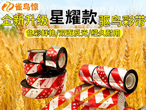 ����(j��)��ζ�(q��)�B(ni��o)����ʎ�-ȸ�B(ni��o)�@-�(l��)������