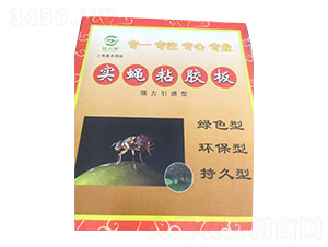 �G�T���Ϲ���(sh��)ω��-�(l��)������