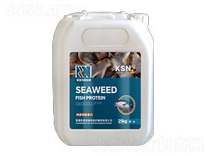 �����~(y��)�ĵ���-�Pِ�Z