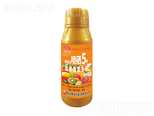 �Ϲ��߲˶������M�ڇ���5̖-�����r(n��ng)��