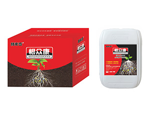 ΢�������-������-������-���A�r�I(y��)