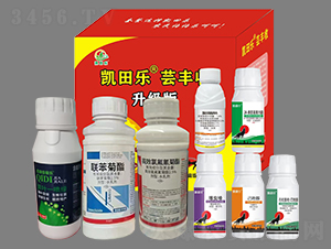 �|�S�գ��˺�һ��-�P�(l��)