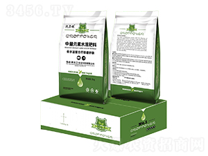 ����Ԫ��ˮ�ܷ���-�֠�ʩ-ϧ��