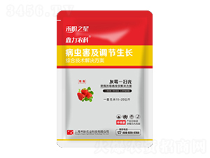 ��ݮ��ù���C�ϼ��g(sh��)����-��ùһ�߹�-����֮��-�����r(n��ng)�I(y��)