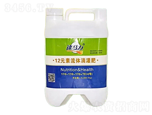 4L12Ԫ�����w�ι��-�а����r(n��ng)