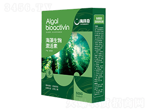 �������Ｄ����-������