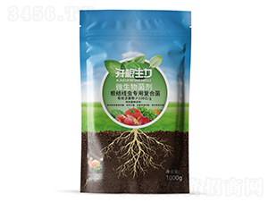 ΢��������ۄ�100�|�ͺϾ����x��-�_������-�ƴ�Ƽ�