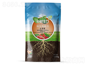 ΢��������ۄ�100�|�ͺϾ�������-�_������-�ƴ�Ƽ�