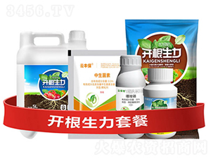 �_�������ײ͢�-�_������-�ƴ�Ƽ�