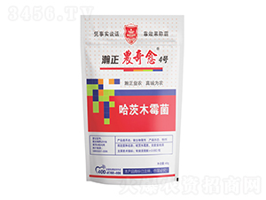 ����ľù��-����r(n��ng)����4̖(h��o)-������r(n��ng)