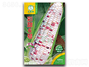 ����6̖(h��o)���׷N��-�����N�I(y��)