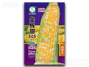 ���x��505���׷N��-�����N�I(y��)