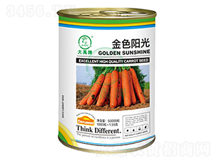 ��ɫꖹ���}���N��-�����N�I(y��)