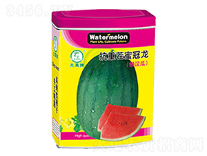 ���ز��۹���-���ϷN��-�����N�I(y��)