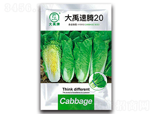 �������v20��ײ˷N��-�����N�I(y��)