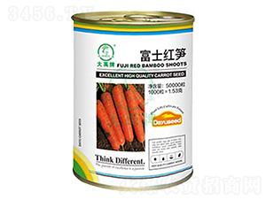 ��ʿ�t�S���}���N��-�����N�I(y��)