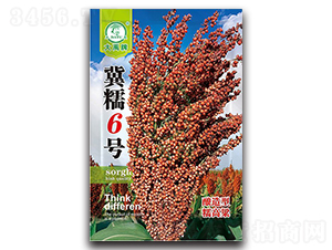 ��Ŵ6̖�����N��-�����N�I(y��)