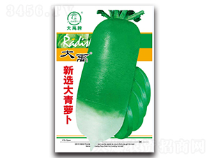 ���x�����}���N��-�����N�I(y��)