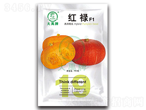 �t�������ϹϷN��-�����N�I(y��)