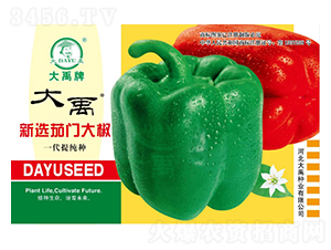 ���x���T��-�����N��-�����N�I(y��)